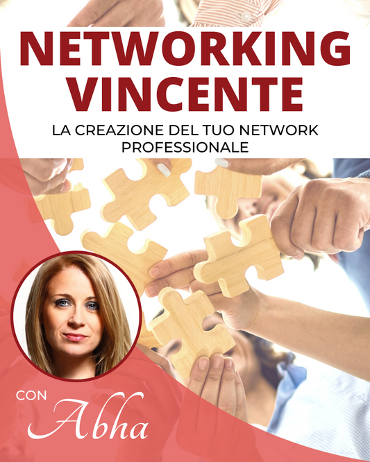 NETWORKING VINCENTE